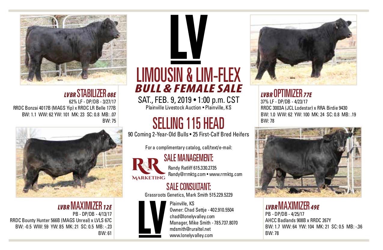 LV Bar Sale 2019