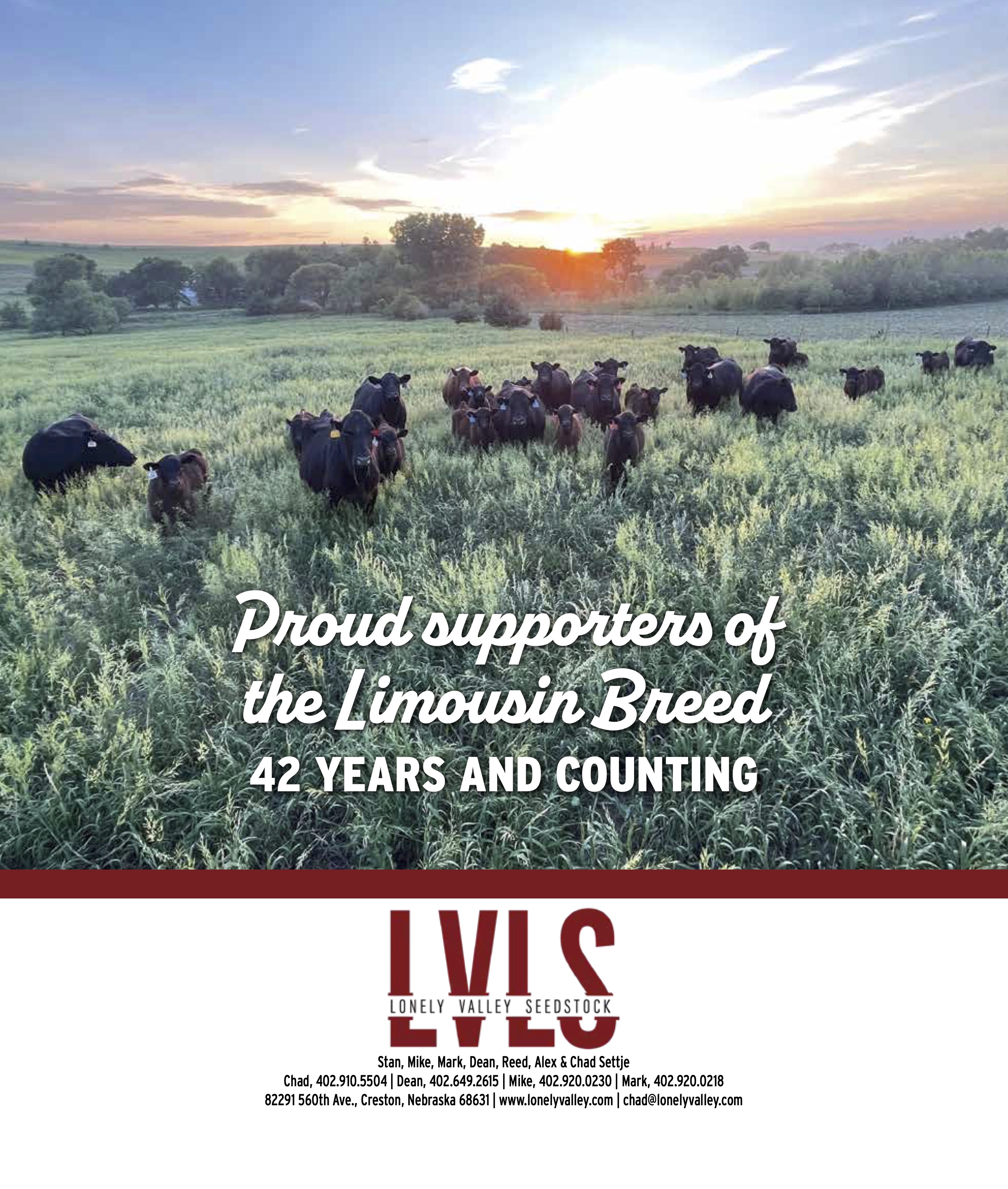 LVLS June 2023 Sale Ad