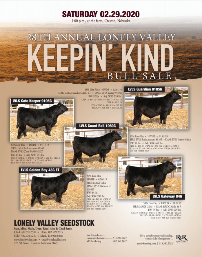 LVLS Feb 2020 Sale Ad