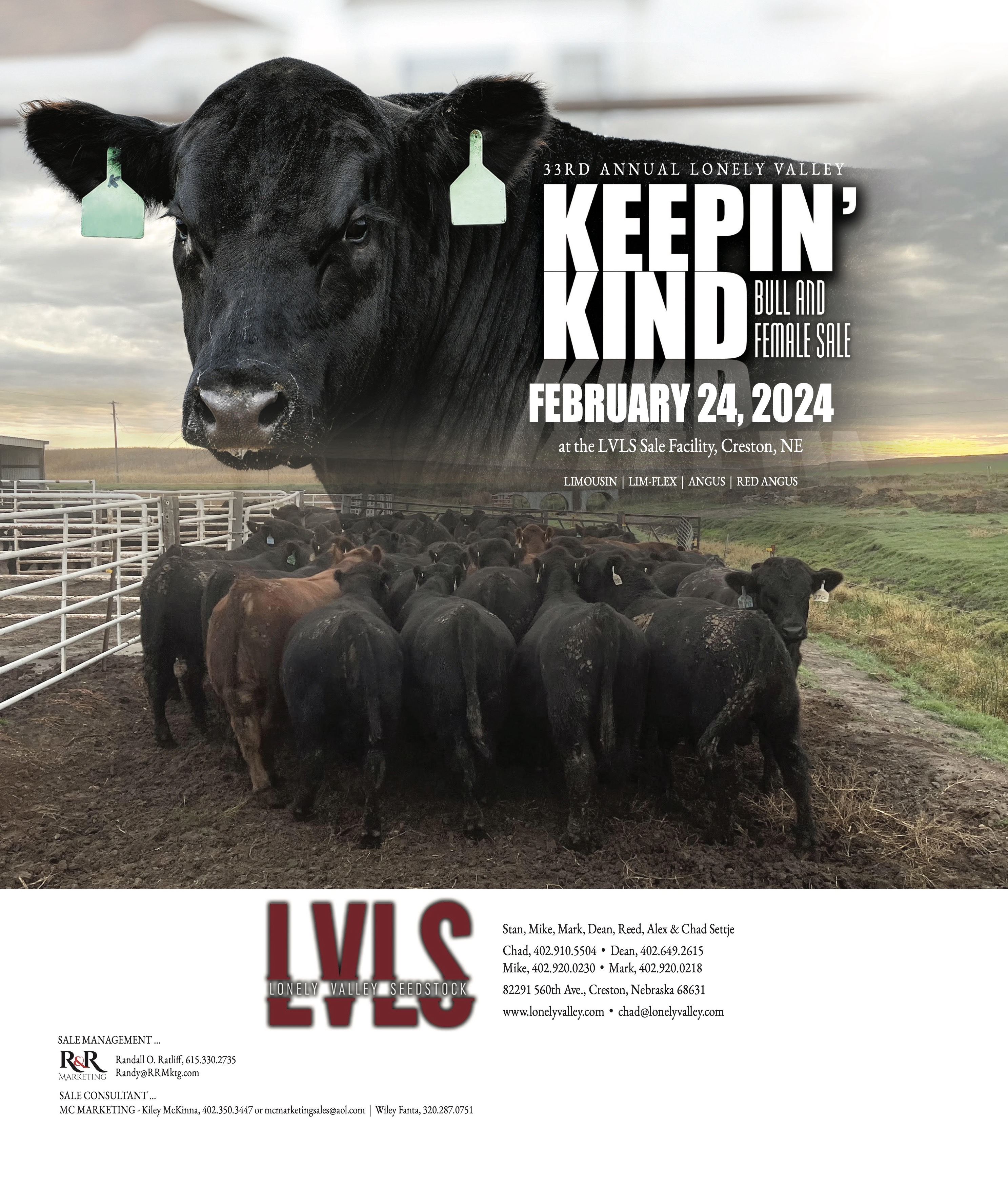LVLS Feb 2024 Sale Ad